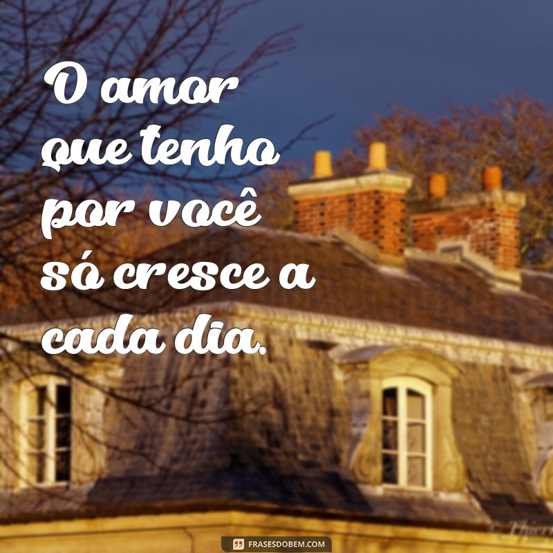 Descubra as mais belas frases de amor para expressar o seu sentimento: Eu só queria te amar 