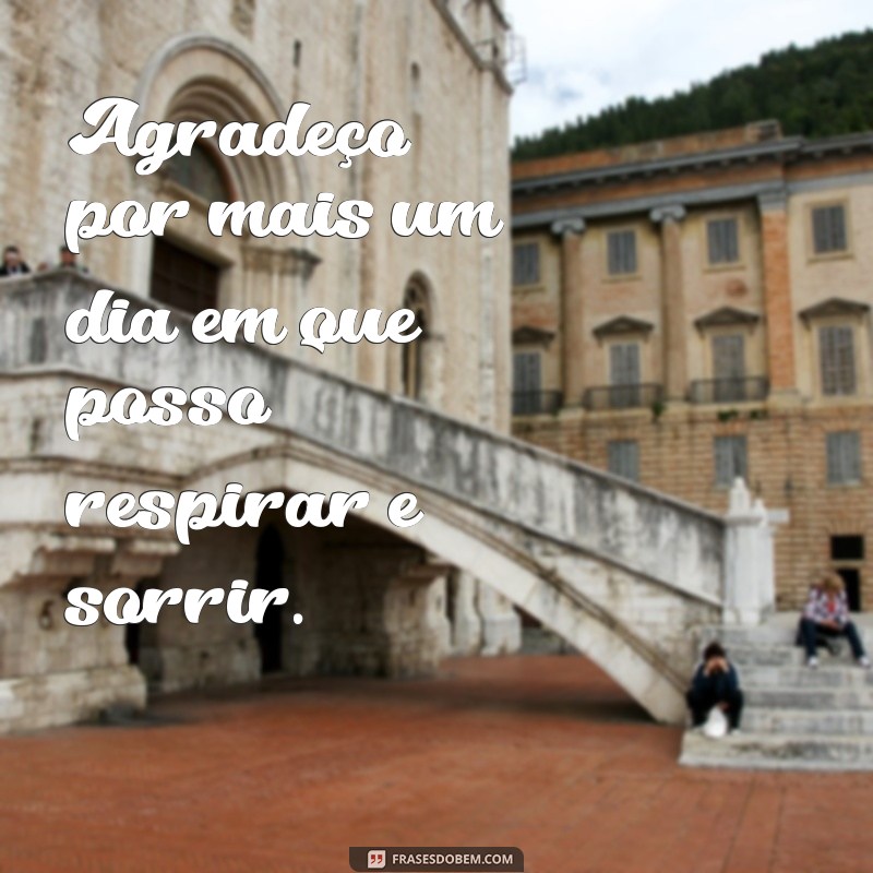Aprenda a Valorizar Cada Novo Dia: A Importância da Gratidão Diária 
