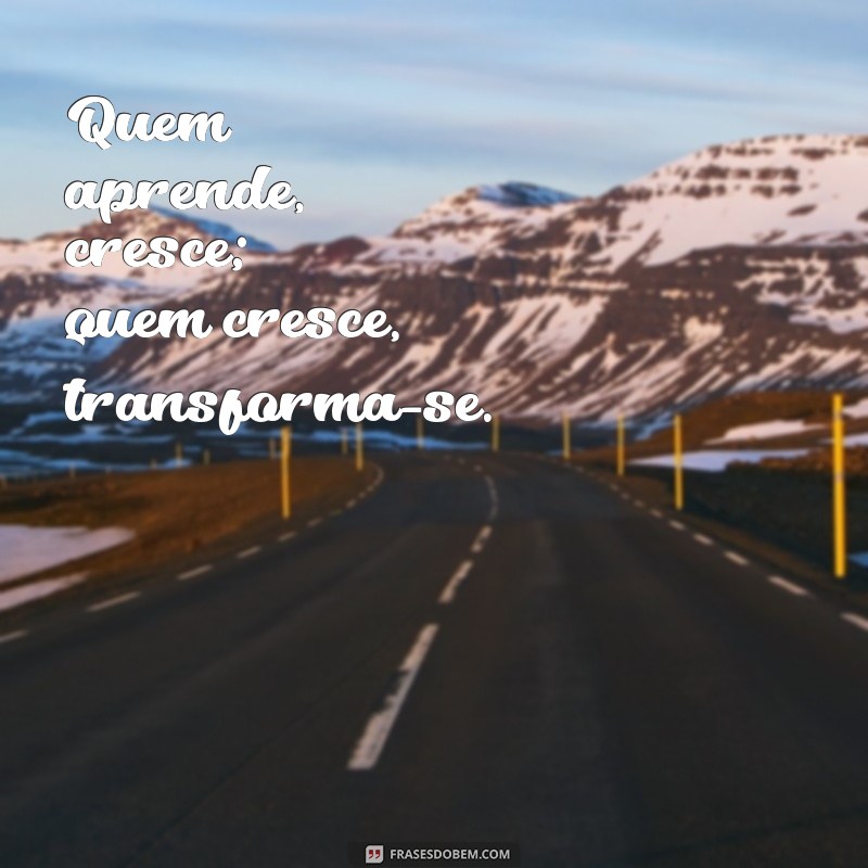 Frases Inspiradoras para Potencializar sua Aprendizagem 