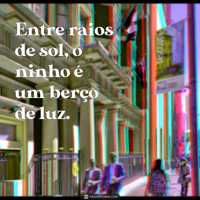 Descubra Inspirações e Reflexões com Frases Sobre Ninhos 