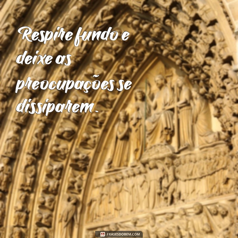 frases para acalmar Respire fundo e deixe as preocupações se dissiparem.