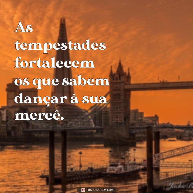 Frases Inspiradoras para Enfrentar as Tempestades da Vida 