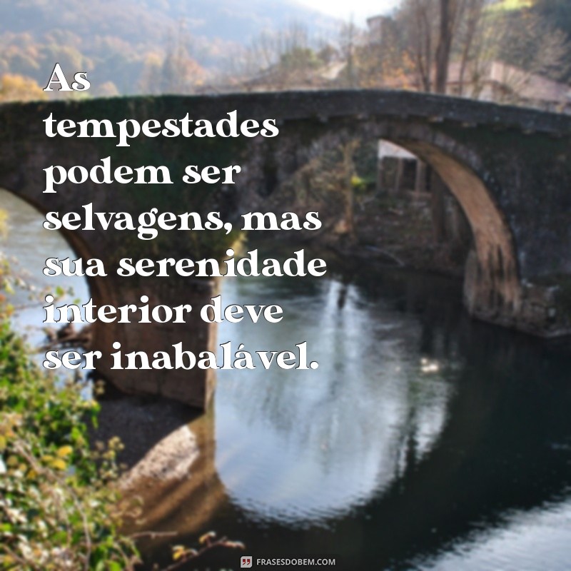 Frases Inspiradoras para Enfrentar as Tempestades da Vida 