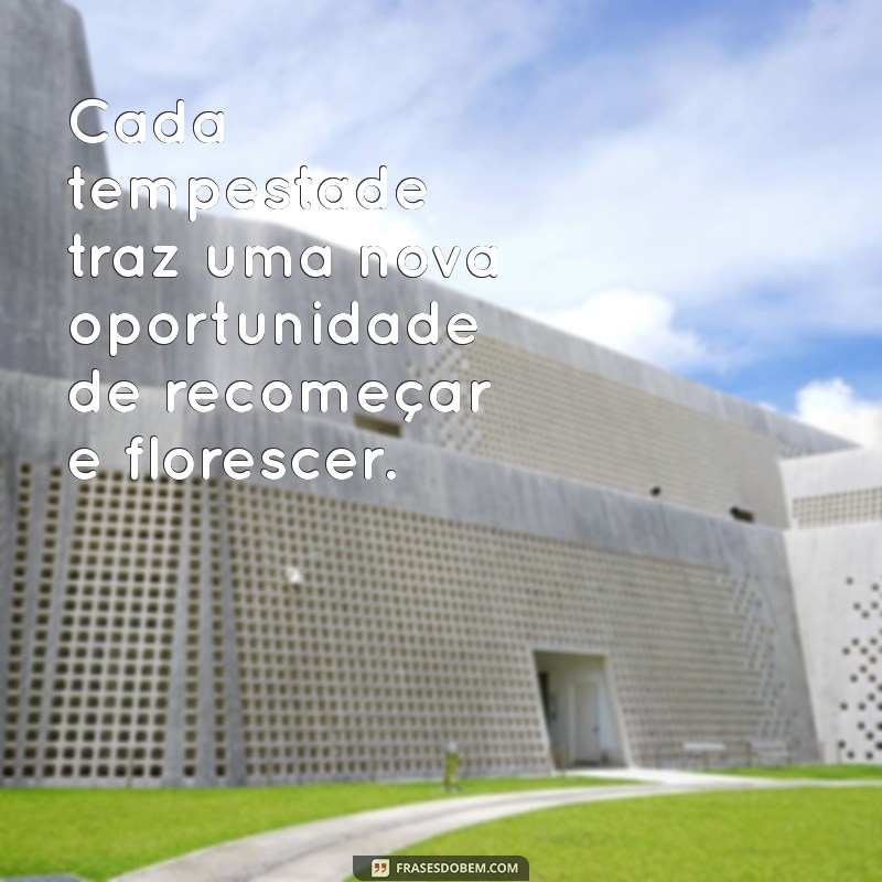 Frases Inspiradoras para Enfrentar as Tempestades da Vida 