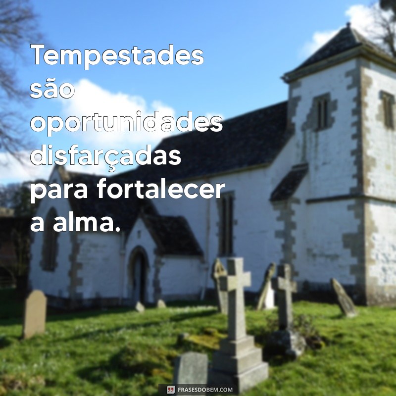 Frases Inspiradoras para Enfrentar as Tempestades da Vida 