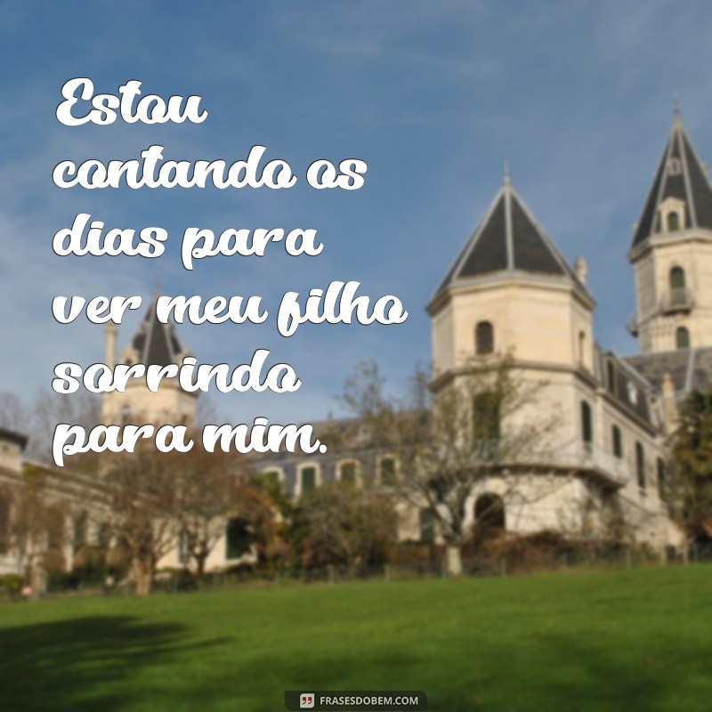 Descubra as melhores frases para expressar a emoção de se tornar papai! 