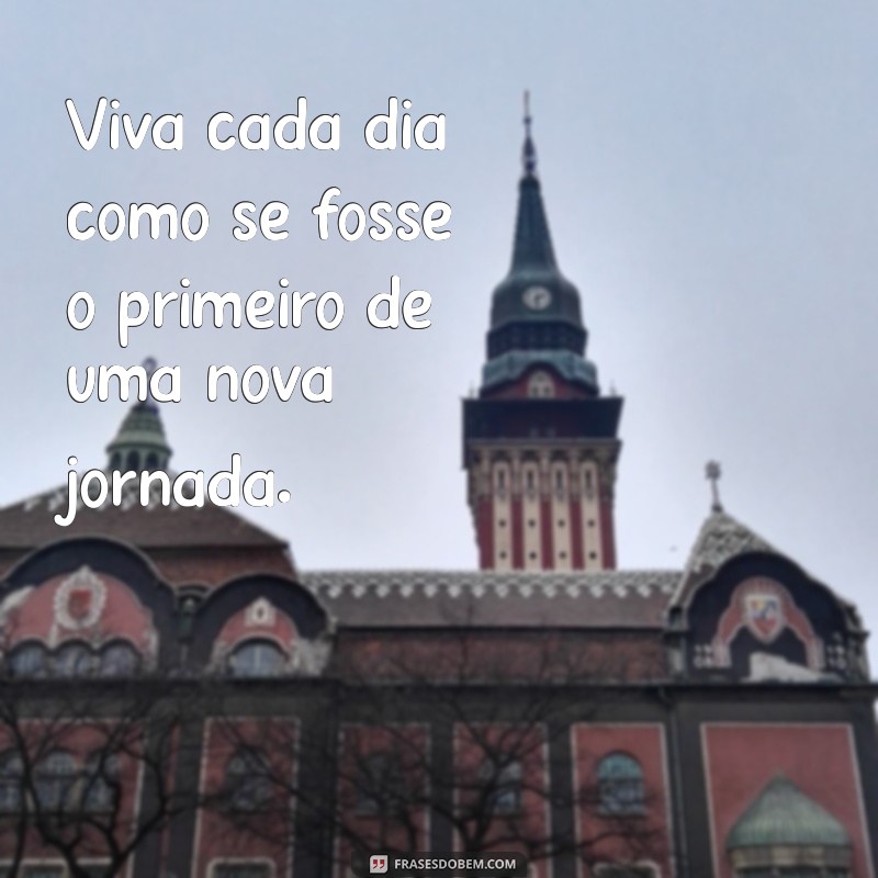 frases viver a vida Viva cada dia como se fosse o primeiro de uma nova jornada.