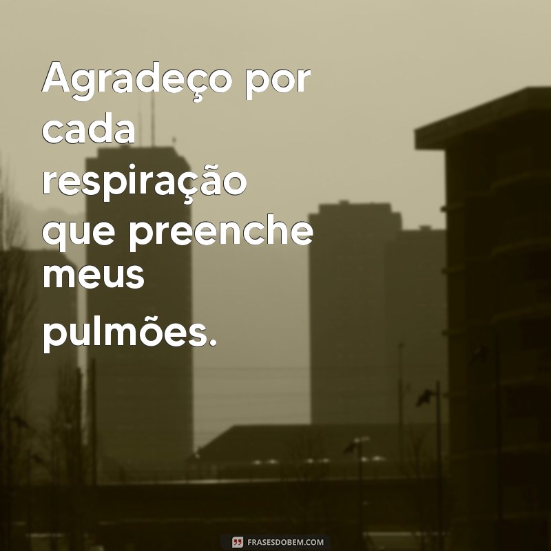 Frases de Gratidão para Inspirar Seu Dia Hoje 