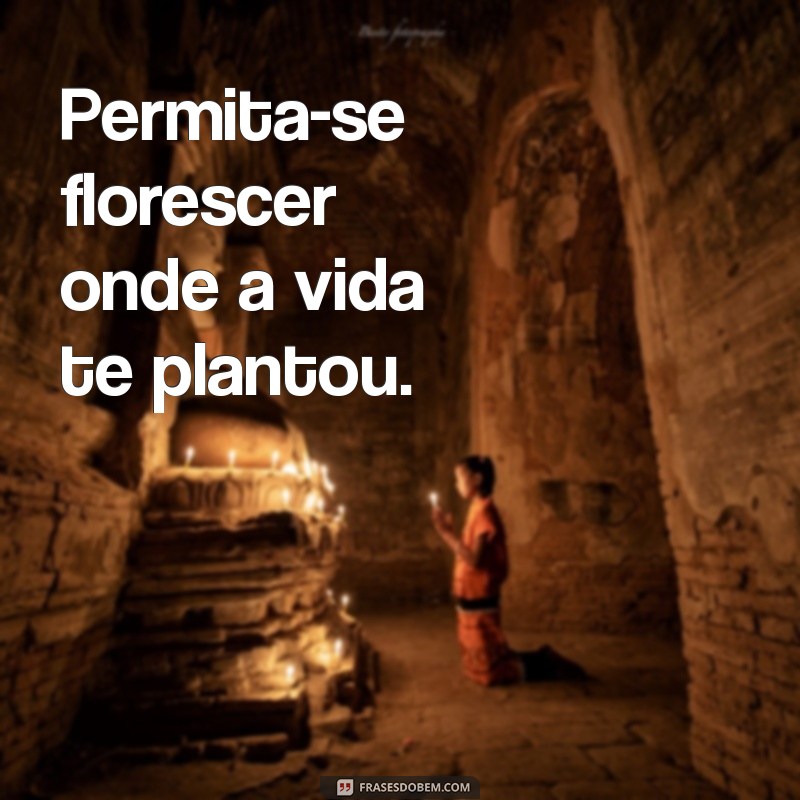 Melhores Frases para Fotos: Inspire-se e Destaque suas Imagens 