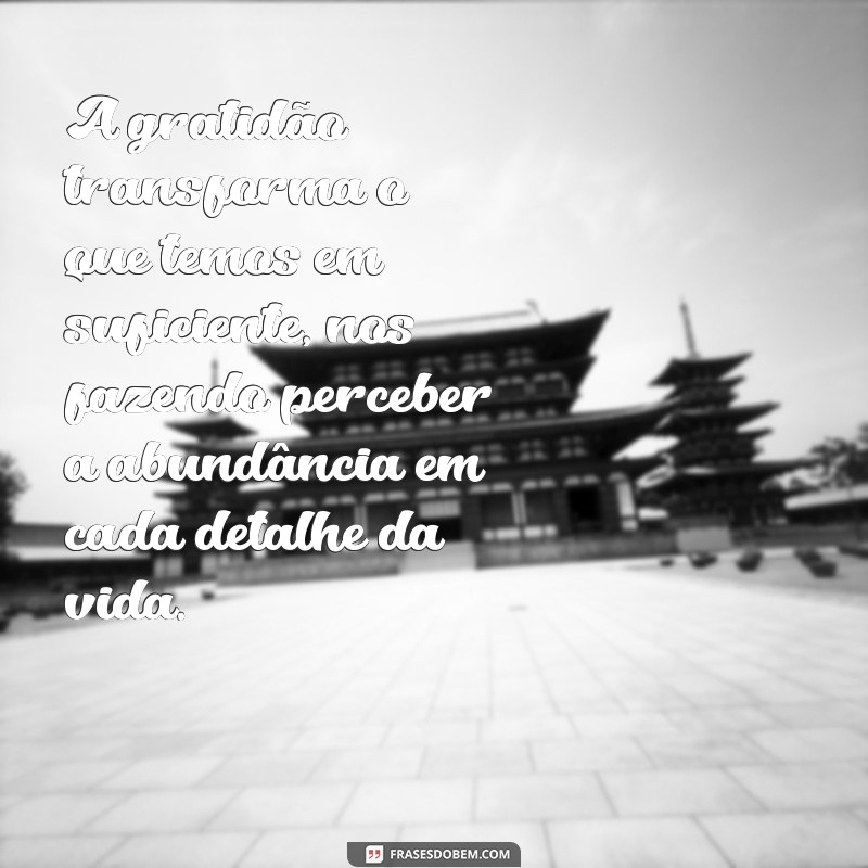 reflexão sobre gratidão pela vida A gratidão transforma o que temos em suficiente, nos fazendo perceber a abundância em cada detalhe da vida.