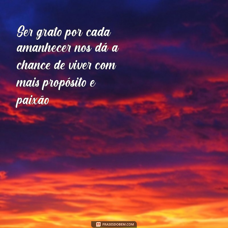 Reflexão Profunda: A Importância da Gratidão na Vida Cotidiana 