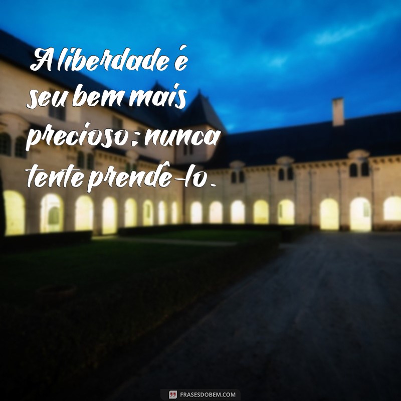 Frases Inspiradoras para Entender o Homem de Sagitário 