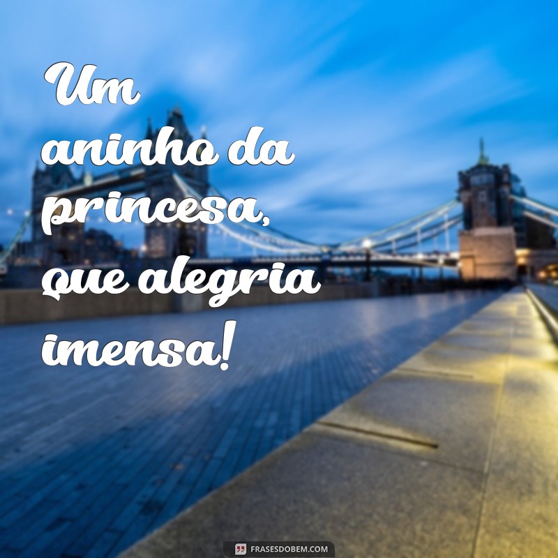 1 aninho da princesa Um aninho da princesa, que alegria imensa!