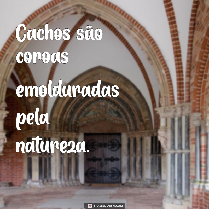 Frases Inspiradoras para Celebrar a Beleza dos Cachos 