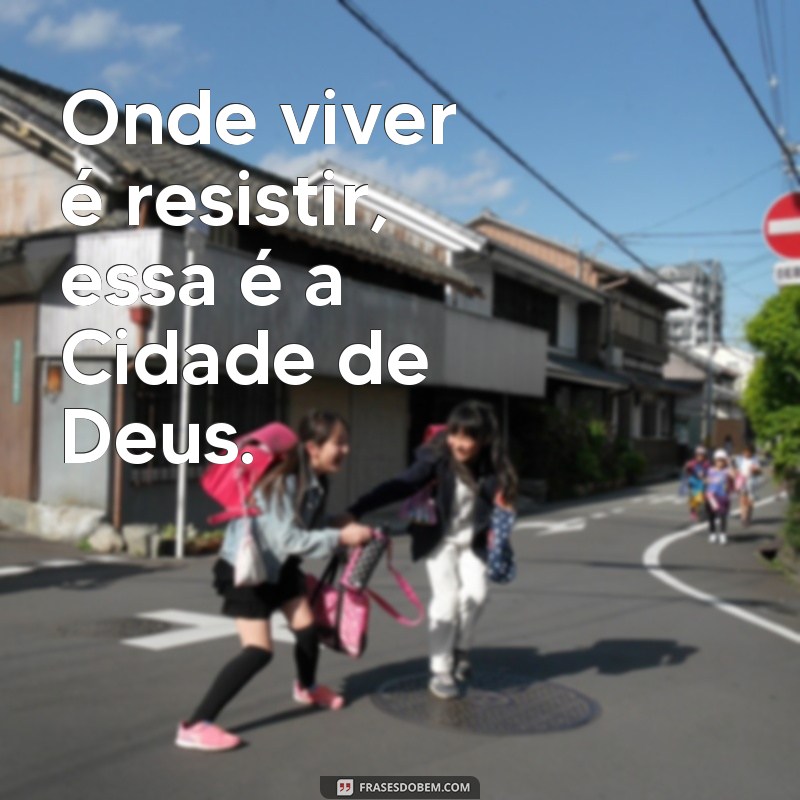 Descubra as mais impactantes frases da clássica Cidade de Deus 