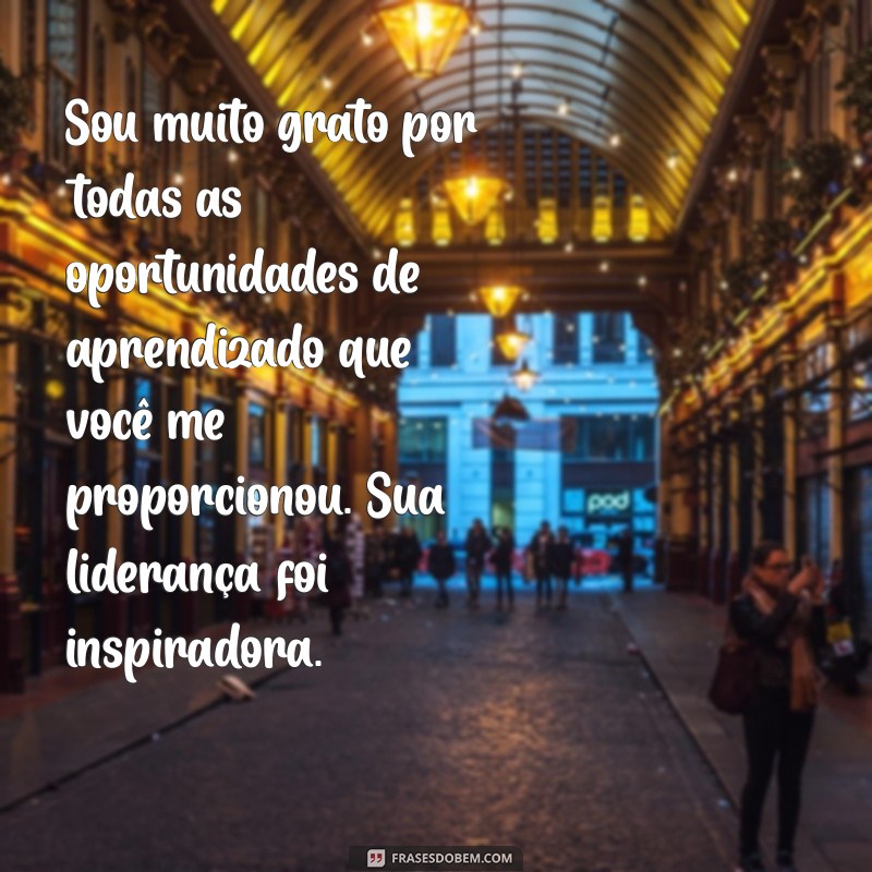 mensagem de agradecimento para ex chefe Sou muito grato por todas as oportunidades de aprendizado que você me proporcionou. Sua liderança foi inspiradora.