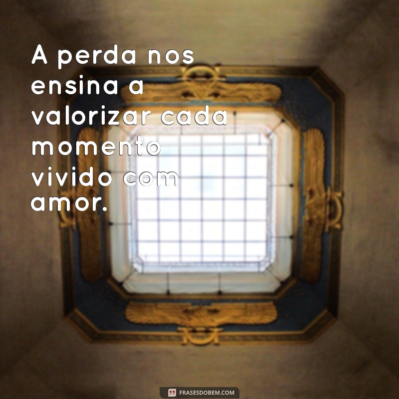 frases perda A perda nos ensina a valorizar cada momento vivido com amor.