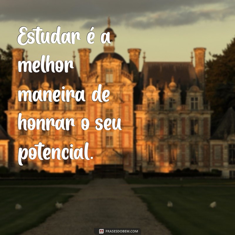 Frases Inspiradoras para Estudo e Dedicação: Motivação para Alcançar Seus Objetivos 