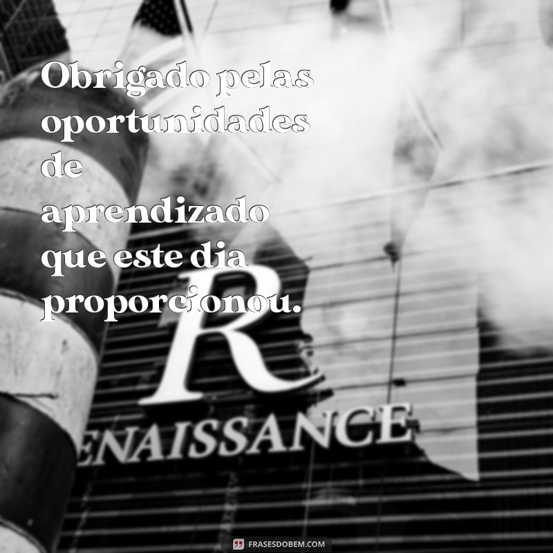 Como a Gratidão Diária Transforma Seu Ambiente de Trabalho 