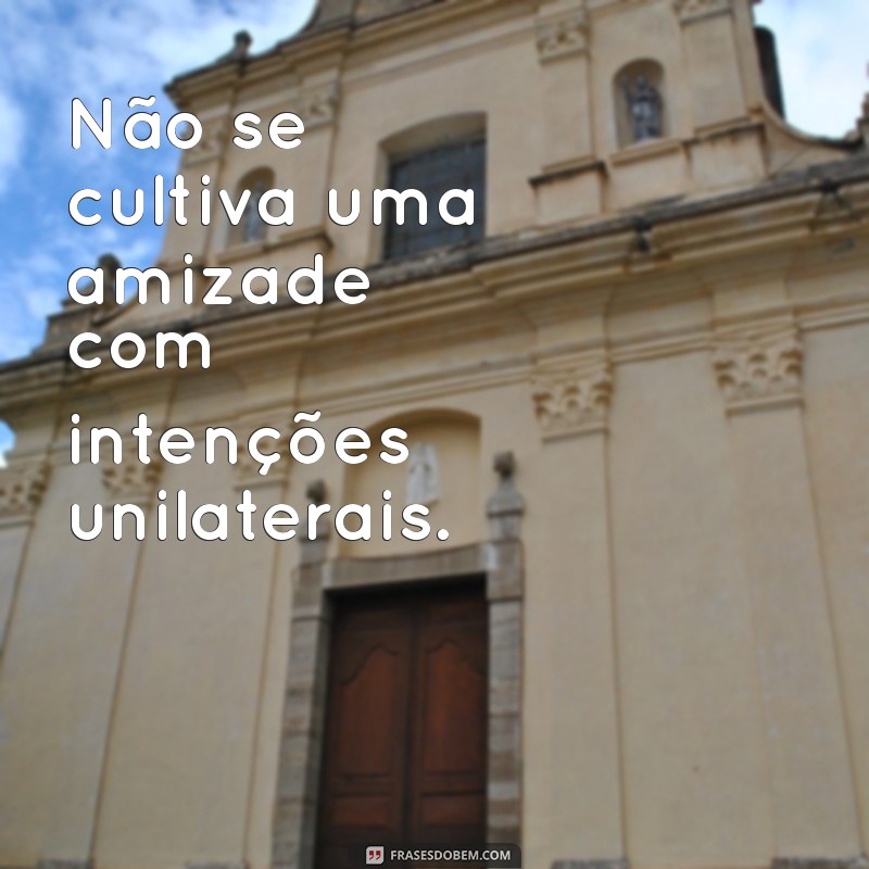 Frases de Indiretas para Expressar Reciprocidade: Inspire-se! 