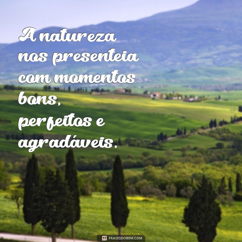 Descubra a Vida Boa, Perfeita e Agradável: Dicas para uma Existência Plena 