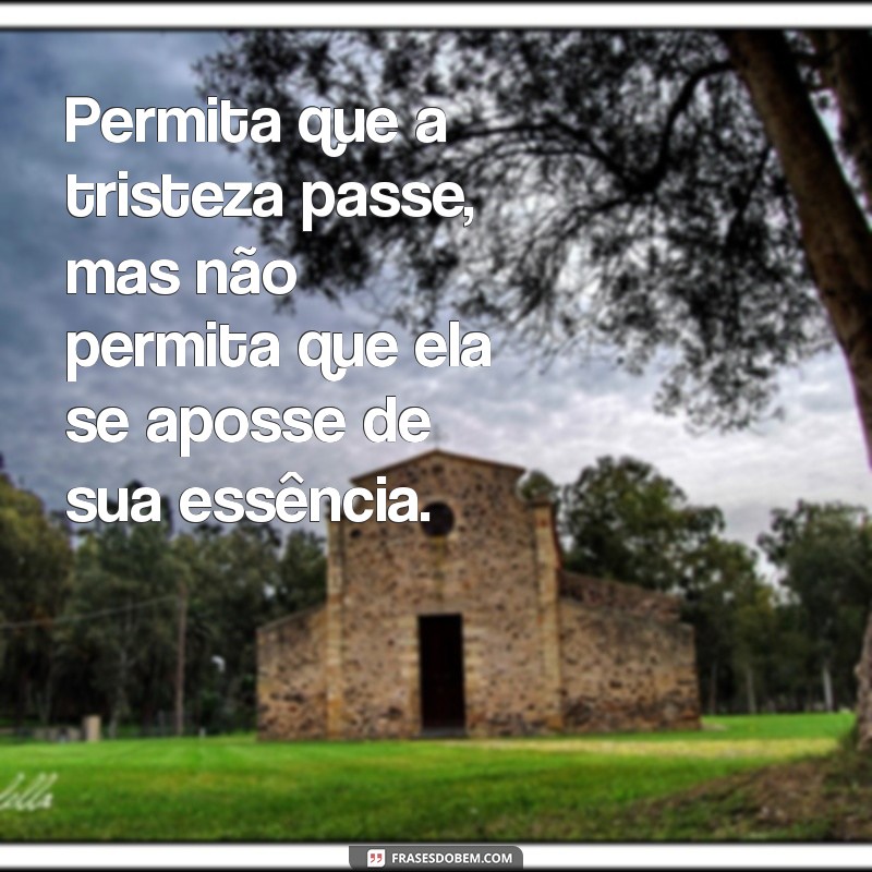 Reflexão sobre a Tristeza: Compreendendo e Superando Momentos Difíceis 