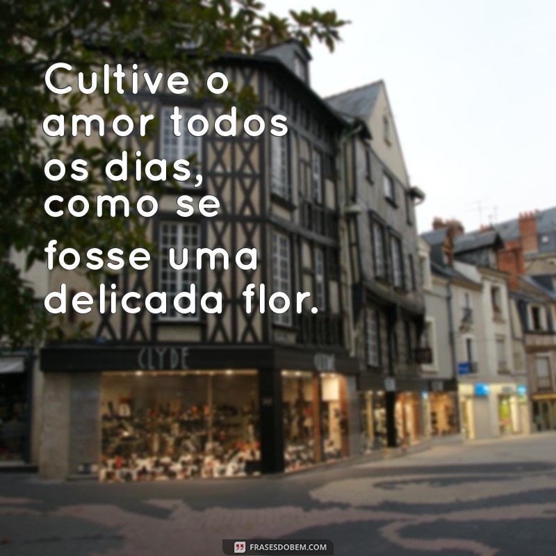 As Melhores Frases Motivacionais de Amor para Inspirar Seu Dia 