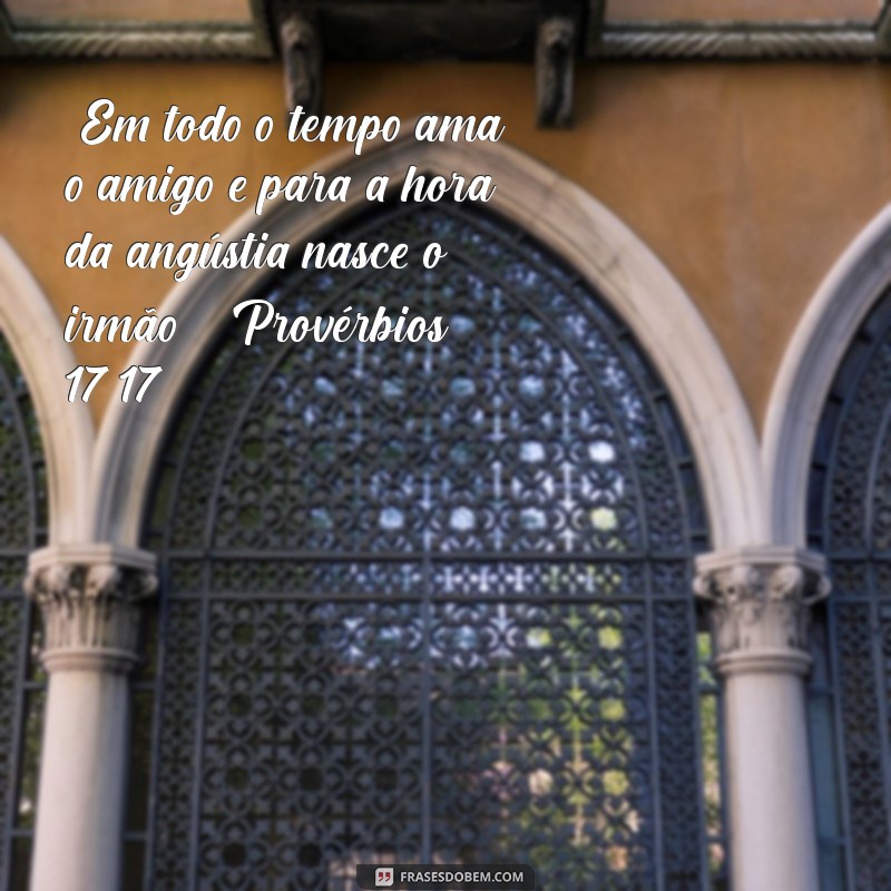 frases bíblicas sobre amizade 