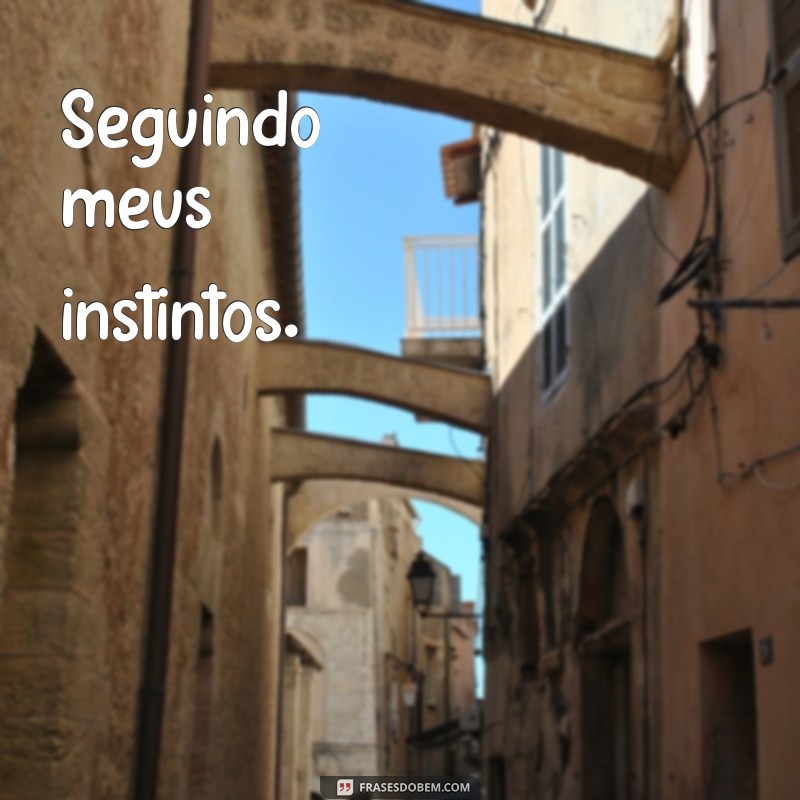 Melhores Frases para Bio do WhatsApp: Inspire e Destaque-se! 