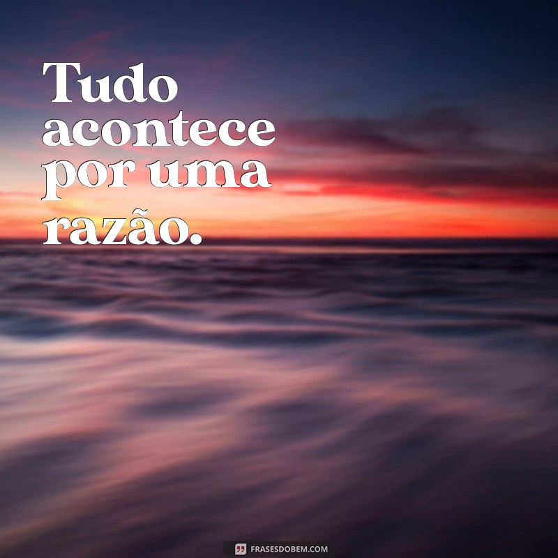 Melhores Frases para Bio do WhatsApp: Inspire e Destaque-se! 