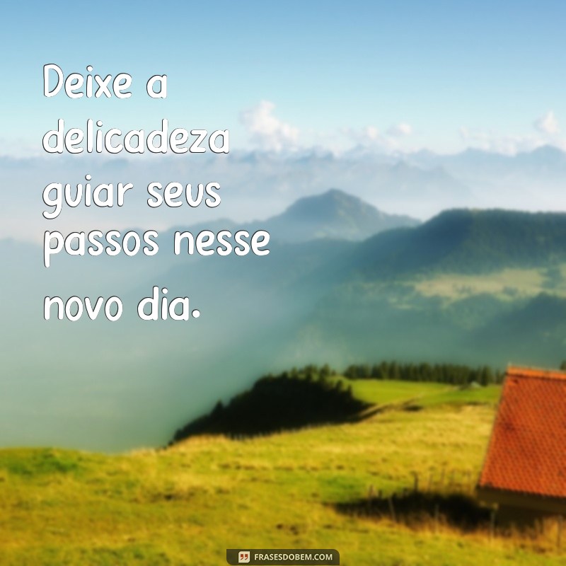 Descubra as melhores frases delicadas para desejar um bom dia 