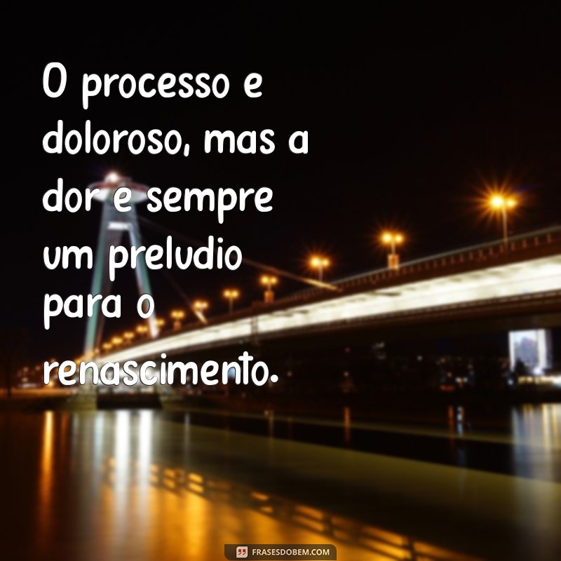 Superando a Dor: Entendendo e Enfrentando Processos Difíceis 