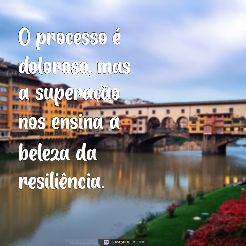 Superando a Dor: Entendendo e Enfrentando Processos Difíceis 