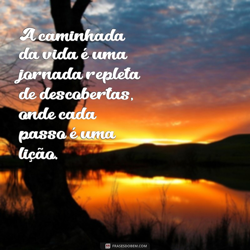 caminhada da vida A caminhada da vida é uma jornada repleta de descobertas, onde cada passo é uma lição.