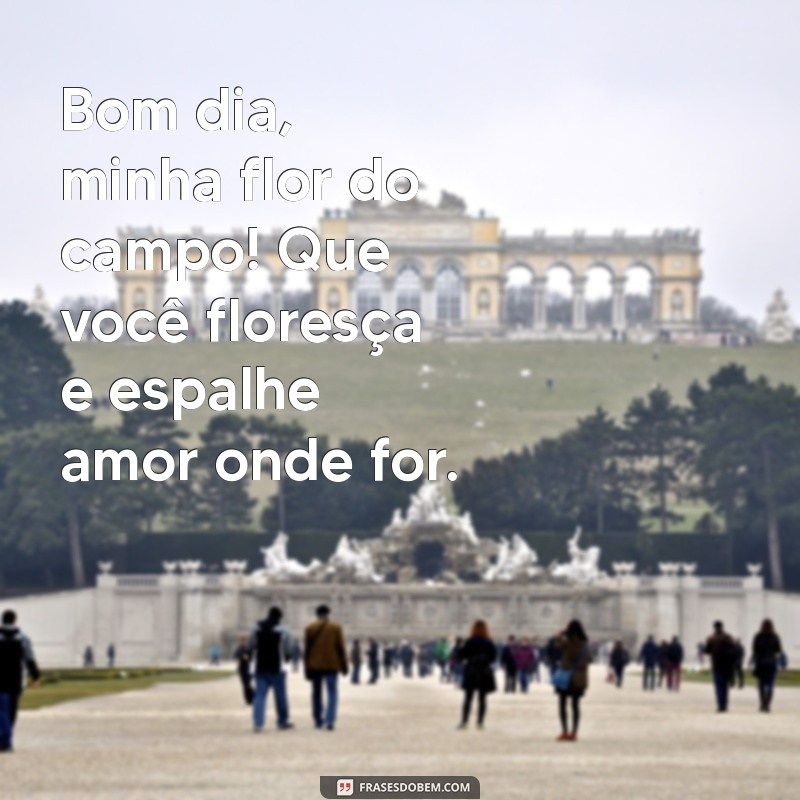 Bom Dia, Minha Princesa: Frases Inspiradoras para Começar o Dia com Amor 