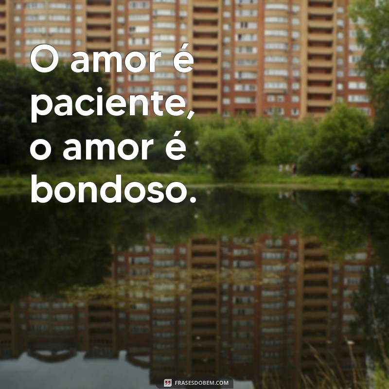 frases provérbios bíblicos O amor é paciente, o amor é bondoso.