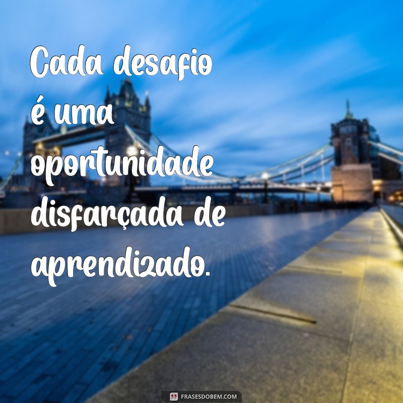 Frases Motivacionais para Jogadores: Inspiração e Determinação no Esporte 