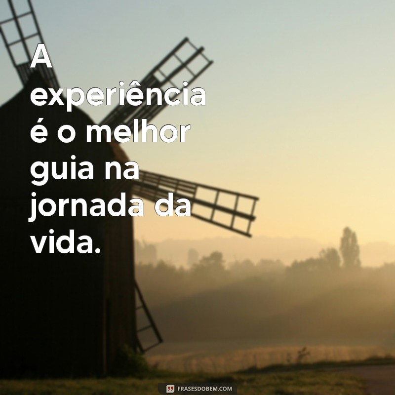 frases para idosos A experiência é o melhor guia na jornada da vida.