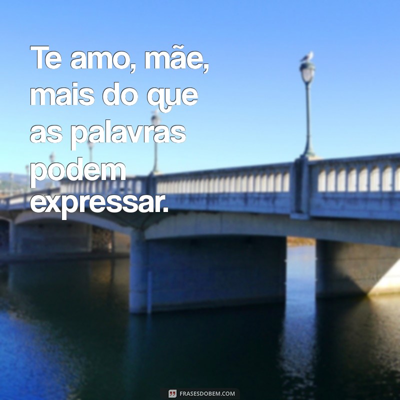 te amo mãe Te amo, mãe, mais do que as palavras podem expressar.