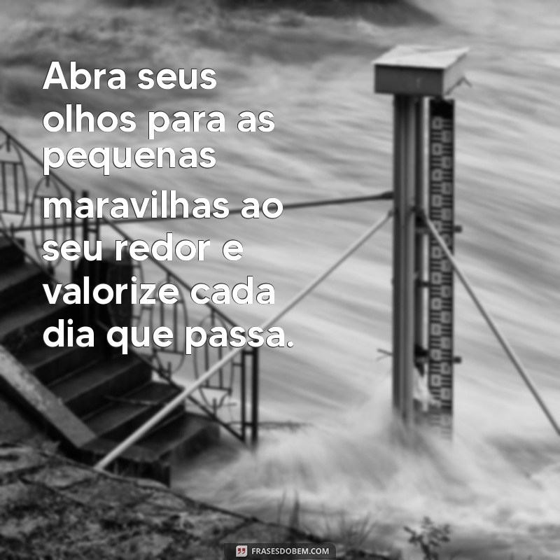 Como Valorizar a Vida: Dicas para Apreciar Cada Momento 