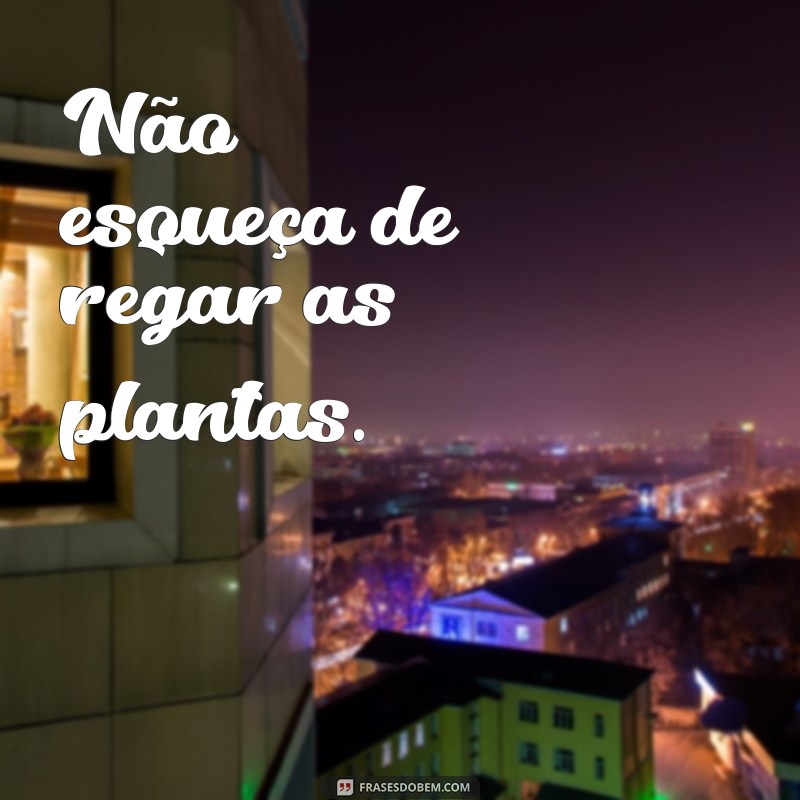 Descubra as mais emocionantes frases de amor e dedicação de toda mãe! 