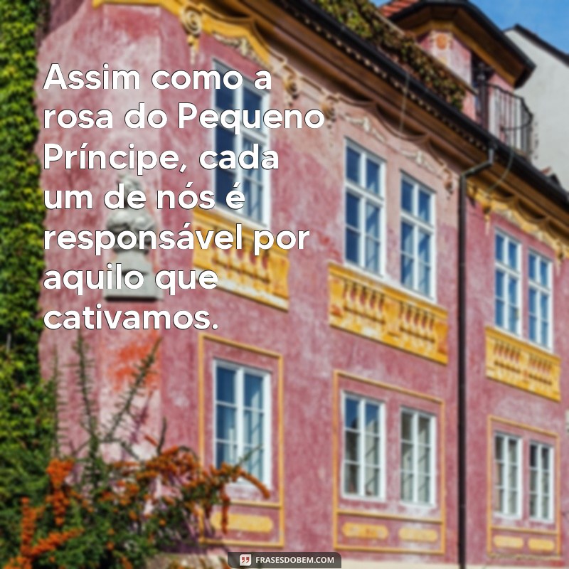 Frases do Pequeno Príncipe sobre Rosas: Inspiração e Sabedoria 