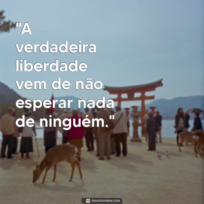 nao espere nada de ninguém frases 