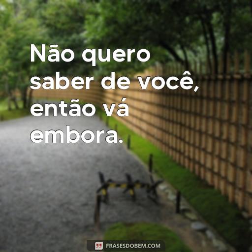 Frases para Ver Alguém que Não se Quer Mais: Como Lidar com o Desapego Não quero saber de você, então vá embora.