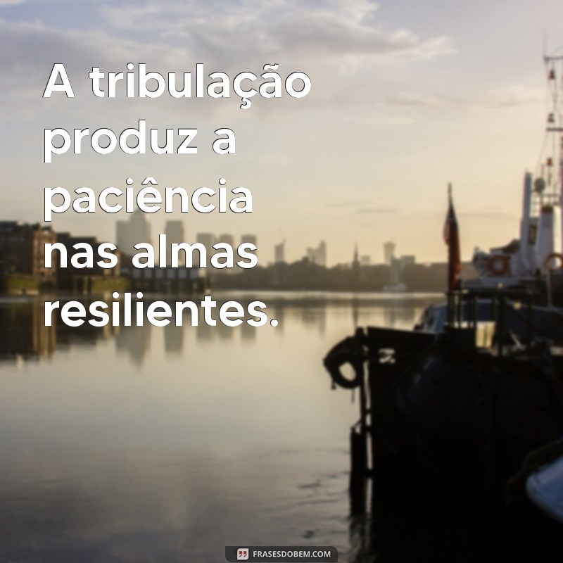 a tribulação produz a paciência A tribulação produz a paciência nas almas resilientes.