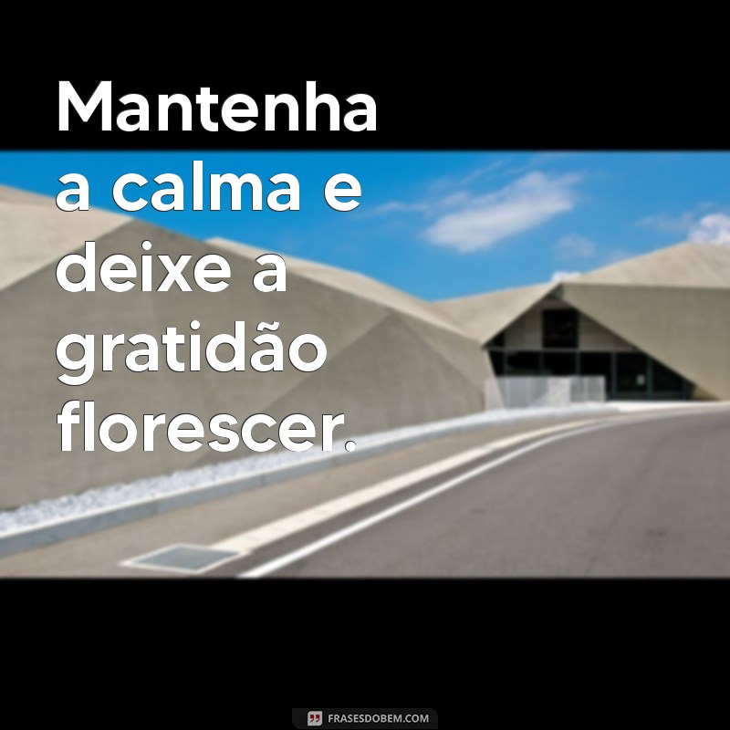 Frases Inspiradoras para Manter a Calma em Momentos de Estresse 