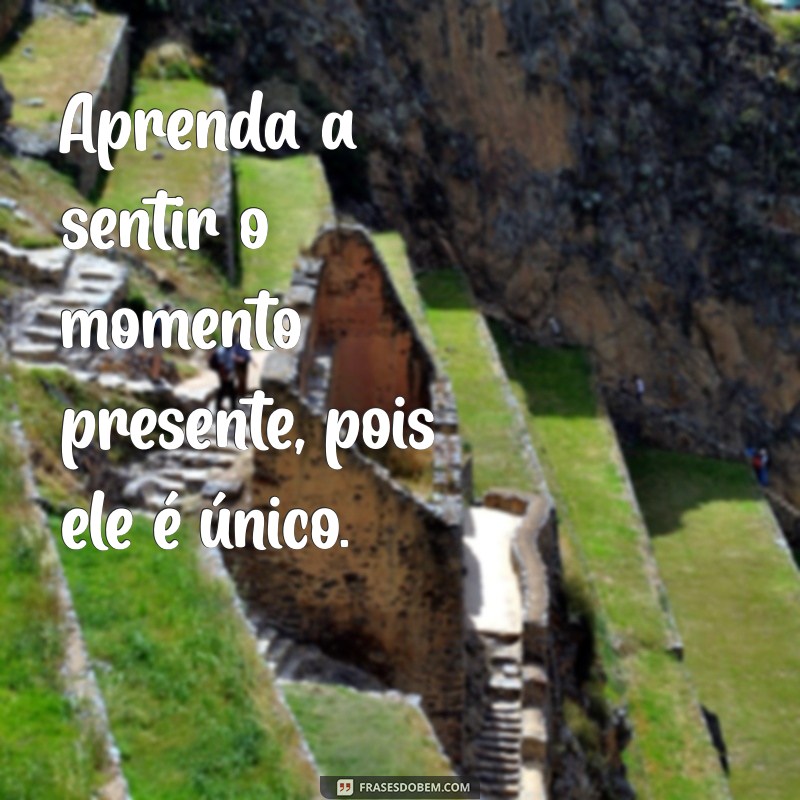 Frases Inspiradoras Sobre Sentir: Explore a Profundidade das Emoções 