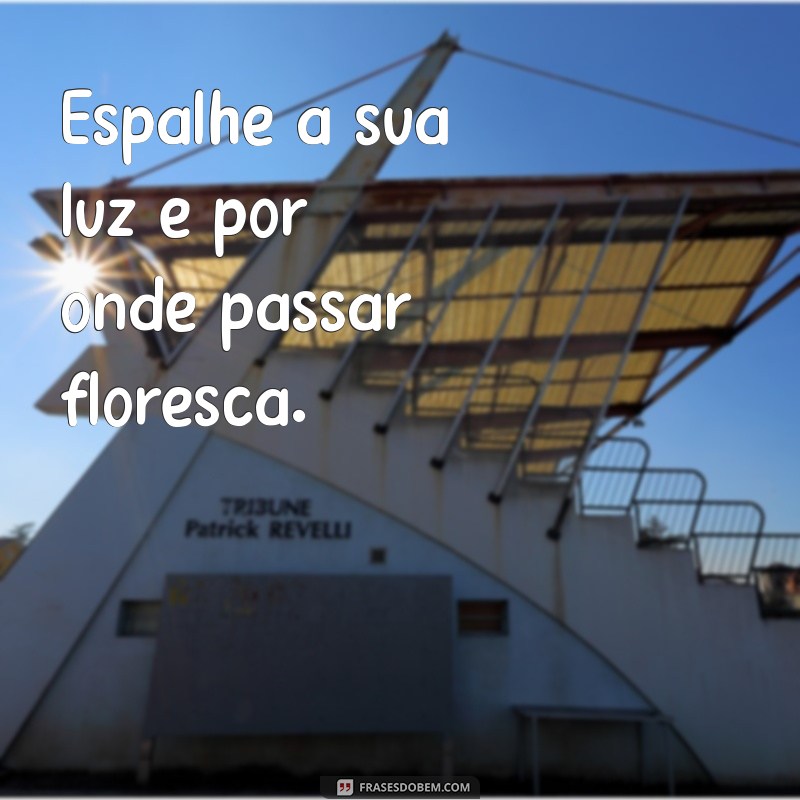 frases por onde for floresça Espalhe a sua luz e por onde passar floresça.