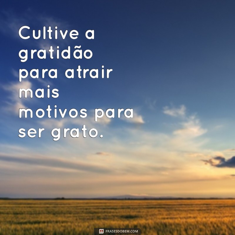 Frases Inspiradoras para Alcançar o Sucesso na Vida 