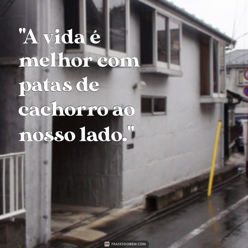 frases para foto cachorro 